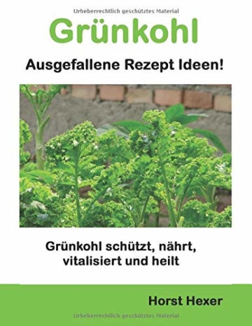 Grünkohl - Ausgefallene Rezept Ideen: Grünkohl schützt, nährt, vitalisiert und heilt - 1